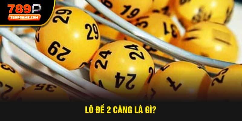 Tìm hiểu thuật ngữ lô đề 2 càng là gì