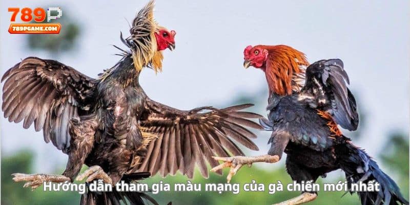 Hướng dẫn tham gia màu mạng của gà chiến mới nhất