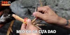 mẹo đá gà cựa dao