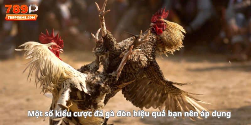 Một số kiểu cược đá gà đòn hiệu quả bạn nên áp dụng 