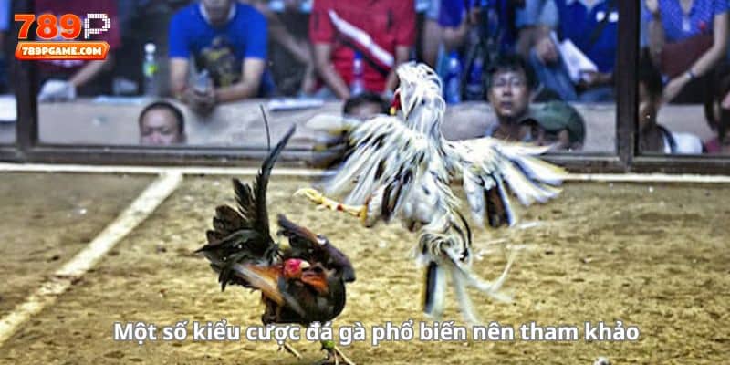 Một số kiểu cược đá gà phổ biến nên tham khảo 