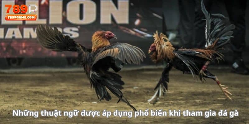 Những thuật ngữ được áp dụng phổ biến khi tham gia đá gà 