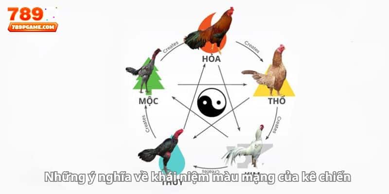 Những ý nghĩa về khái niệm màu mạng của kê chiến