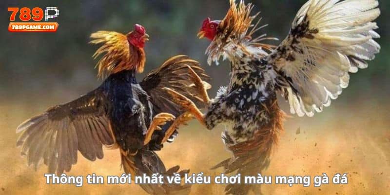 Thông tin mới nhất về kiểu chơi màu mạng gà đá