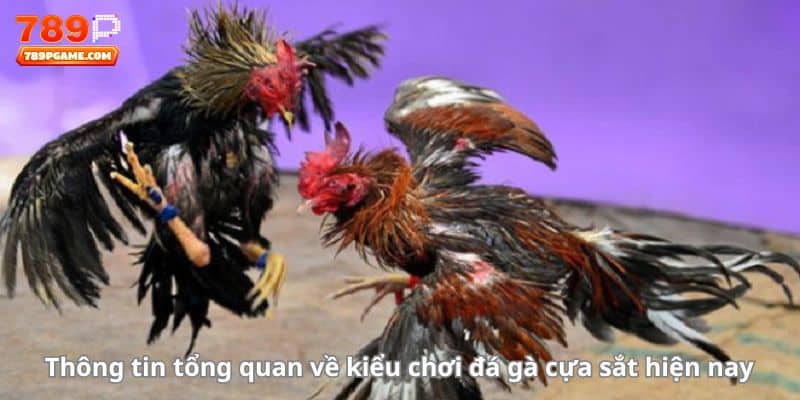 Thông tin tổng quan về kiểu chơi đá gà cựa sắt hiện nay