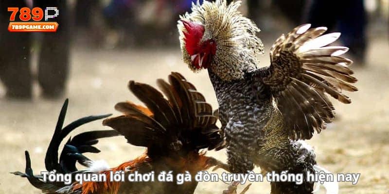 Tổng quan lối chơi đá gà đòn truyền thống hiện nay 