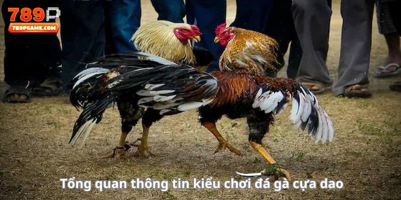 Tổng quan thông tin kiểu chơi đá gà cựa dao